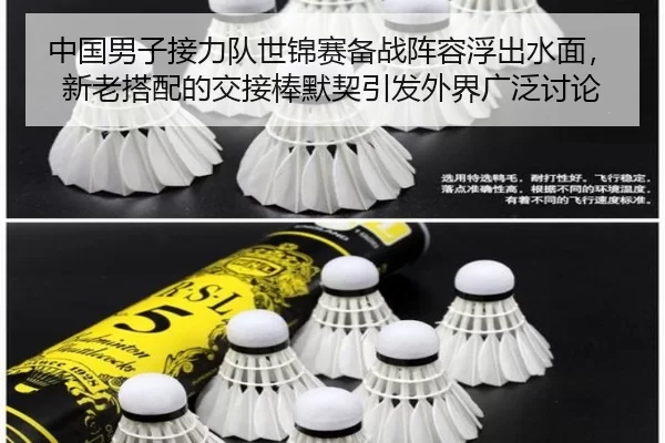 中国男子接力队世锦赛备战阵容浮出水面，新老搭配的交接棒默契引发外界广泛讨论